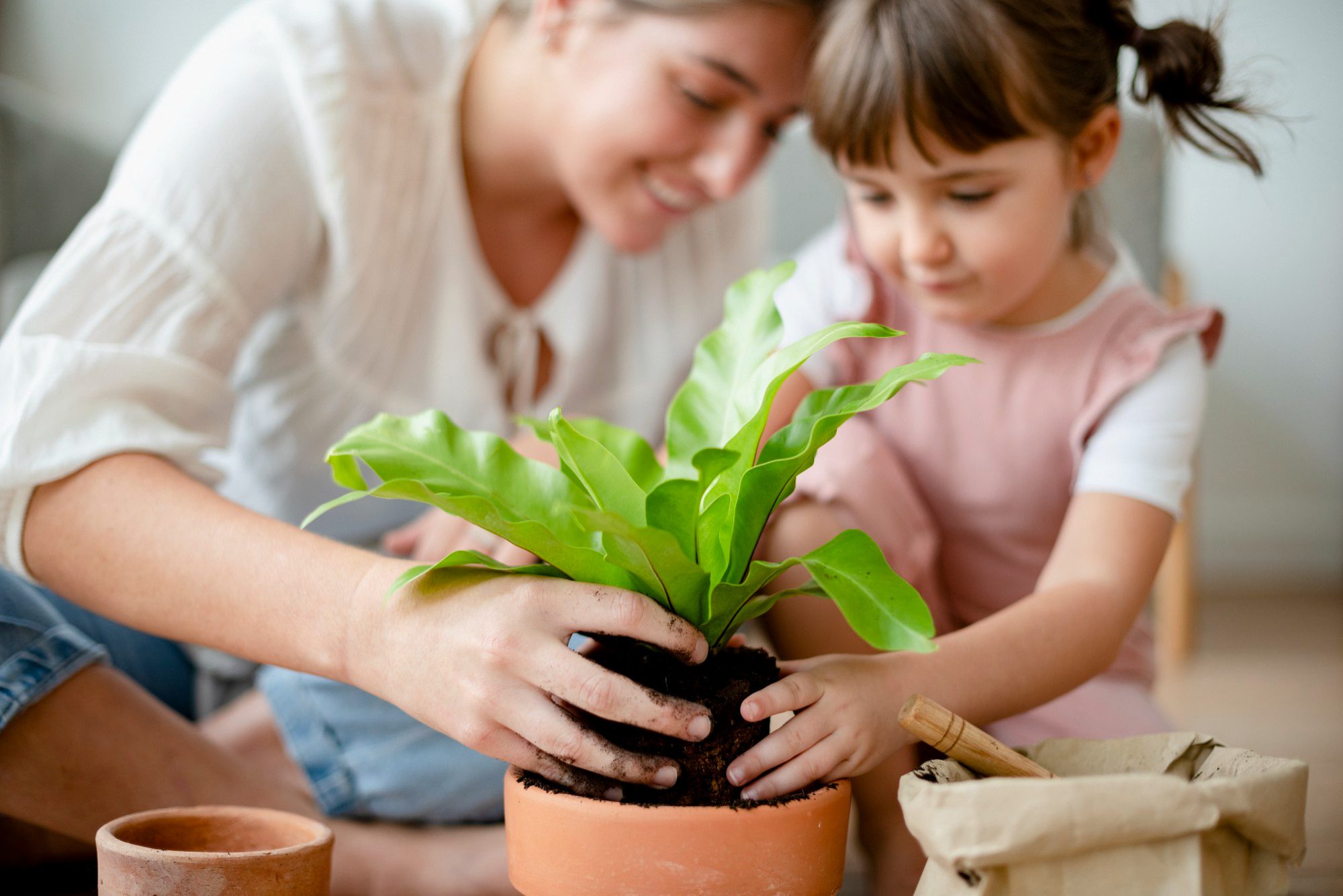 Involve Children in Indoor Plant Care