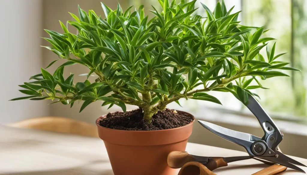 benefits of indoor plant pruning